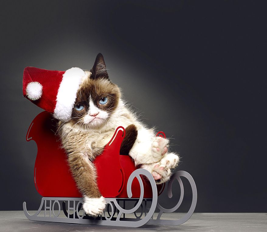 This undated photo provided by Lifetime shows Grumpy Cat, who stars in the Lifetime network's live-action film "Grumpy Cat's Worst Christmas Ever." Before the movie aired on Nov. 29, Grumpy Cat, who owes her permanent frown to a medical condition, was featured in the books "The Grumpy Guide to Life" and "Grumpy Cat: A Grumpy Book." (AP Photo/Lifetime)