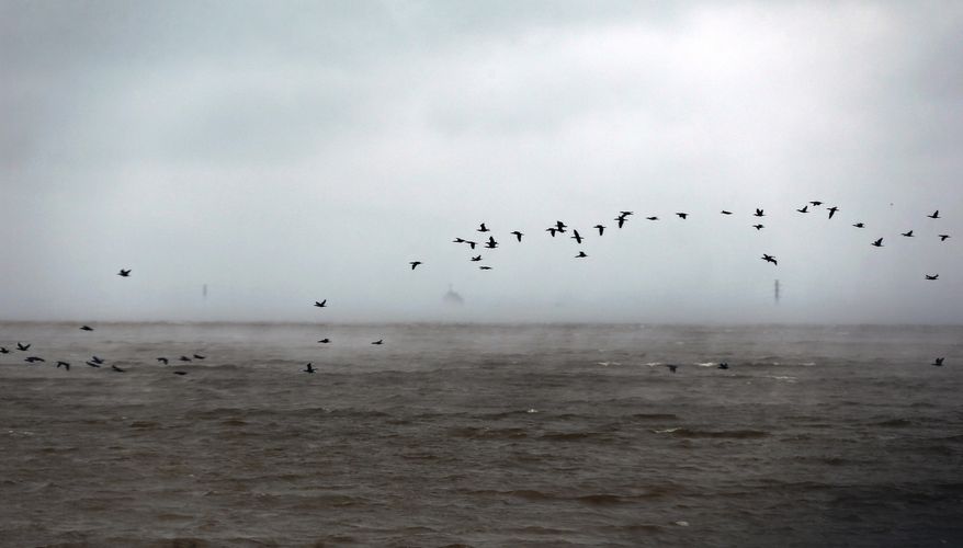 FILE - In this Wednesday, April 10, 2013 file photo, birds fly through the fog over Lake Hefner on a rainy day in Oklahoma City. Oklahoma City residents will be able to weigh in on a proposal that would allow an oil company to drill near Lake Hefner. Pedestal Oil Co. Inc. wants to drill at a site outside the park's boundaries that was selected after the Oklahoma City water utilities trust asked the company to find a site that met state regulations and the trust's more stringent guidelines for drilling operations. (AP Photo/Sue Ogrocki, File)