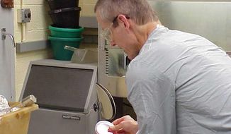 This undated image attached to an email sent Wednesday, Nov. 14, 2001 by Bruce Ivins shows Ivins handling &amp;quot;cultures of the now infamous &#39;Ames&#39; strain of Bacillus anthracis&amp;quot; at his lab according to the text of the message. The Government Accountability Office says the science the FBI used to investigate the 2001 anthrax attacks was flawed. The GAO released a report Friday on its findings. The agency didn&#39;t take a position on the FBI&#39;s conclusion that Army biodefense researcher Bruce Ivins acted alone in making and sending the powdered spores that killed five people and sickened 17 others. The report adds fuel to the debate among experts, including many of Ivins&#39; co-workers at Fort Detrick in Frederick, Maryland, over whether Ivins could have made and mailed the anthrax-filled envelopes. (AP Photo) **FILE**