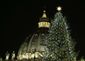 Vatican Christimas Tree.JPEG-03e6d.jpg