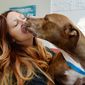 In this Dec. 30, 2014 photo, Shylo, a six-year-old pit bull, who is available for adoption, steals a kiss from Lexi Stringfellow, behavior coordinator at the Human Society of Utah, in Murray, Utah. (AP Photo/The Salt Lake Tribune, Steve Griffin) DESERET NEWS OUT; LOCAL TELEVISION OUT; MAGS OUT