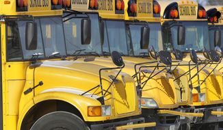 Public school buses. (AP Photo/Seth Perlman)