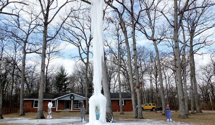 This Tuesday, Jan. 13, 2015 photo shows a 45-foot-tall icicle created after Garrick Moreland, a tree trimmer, climbed into a tree with a hose and turned on the water when temperatures dropped a few weeks ago at his mother Katherine Ragel’s home near St. Elmo, Ill. The idea originally came from Ragel's late husband Alan Ragel, who liked to build smaller icicles along the driveway. This year's icicle also includes a mannequinn of the character Elsa from the Disney movie "Frozen." (AP Photo/Effingham Daily News, Stan Polanski)