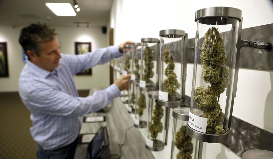 ADVANCE FOR USE SATURDAY JAN. 17, 2015, AND THEREAFTER- File - In this Nov. 5, 2014, file photo, Shane McKee, co-founder of Shango Premium Cannabis medical marijuana dispensary, pulls a sample from their display of cannabis flowers in Portland, Ore. Oregon voters have spoken on marijuana legalization and now legislators want their say. Though the legislative session is more than two weeks away, lawmakers have already introduced more than a dozen bills related to pot. (AP Photo/Don Ryan, File)