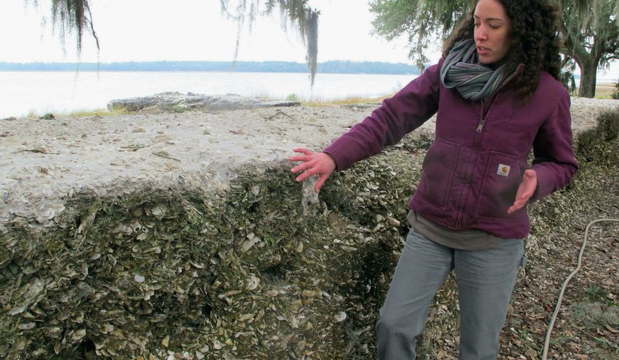 In this Jan. 14, 2015 photo, Meg Gaillard, an archeologist with the South Carolina Department of Natural Resources, explains how a new white tabby layer protects a wall of tabby, a building material made of oyster shells and sand, at Fort Frederick in Port Royal, S.C. Archeologists are conducting a dig at the fort completed in 1734 in advance of opening the site to the public. (AP Photo/Bruce Smith) (AP Photo/Bruce Smith)