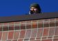 1_202015_colorado-shooting-28201.jpg
