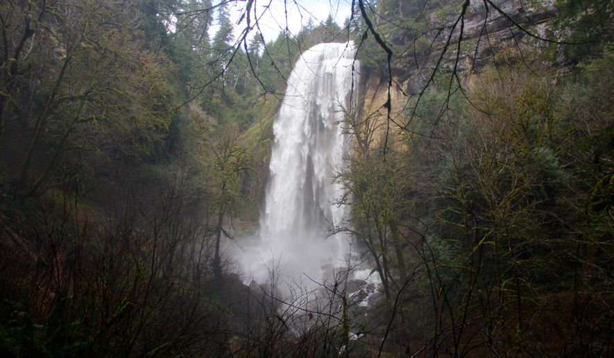 This undated photo shows Silver Falls at the Golden and Silver Falls State Park east of Coos Bay, Ore. Tucked deep in the Coast Range east of Coos Bay, this state park is smaller and attracts a fraction of the crowds compared to its famous counterpart, Silver Falls State Park. (AP Photo/Statesman-Journal, Zach Unress) ** FILE **