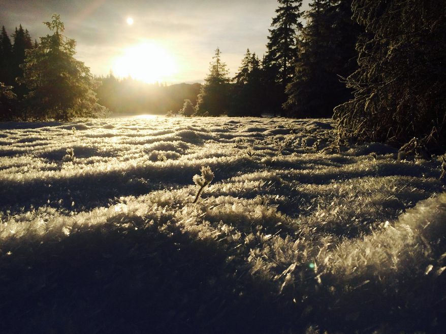 After nights of cold, clear weather, hoar frost decorates most surfaces near Peterson Lake Cabin, north of Juneau, Alaska, in this Dec., 2014, photo. The winter of 2014-15 is not one that has yet brought large amounts of snowfall to Southeast Alaska, but even so, winter outings require attention in areas where summer outings do not. (AP Photo/Juneau Empire, Abby Lowell)
