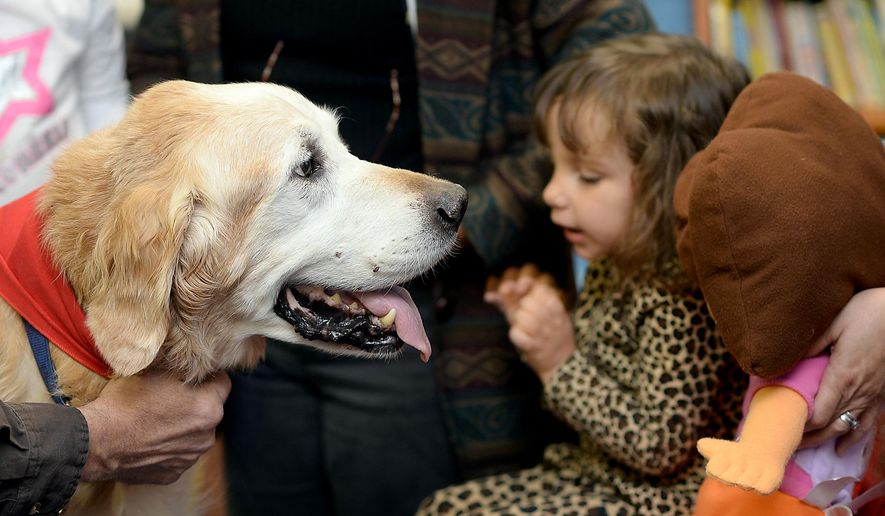 FOR RELEASE MONDAY, FEBRUARY 9, 2015, AT 12:01 A.M. EST.- In this photo taken on Nov. 7, 2014, Harold Randolph and his seeing eye dog Stoney visit the S.C. School for the Deaf and Blind, in Spartanburg, S.C. Randolph's wife Terrie was a braille reading teacher for more than 27 years at the school. Randolph, honors her memory by volunteering at the school by brining his seeing eye dog, Stoney, to help the students practice reading. (AP Photo/Spartanburg Herald-Journal, Alex C. Hicks Jr.)