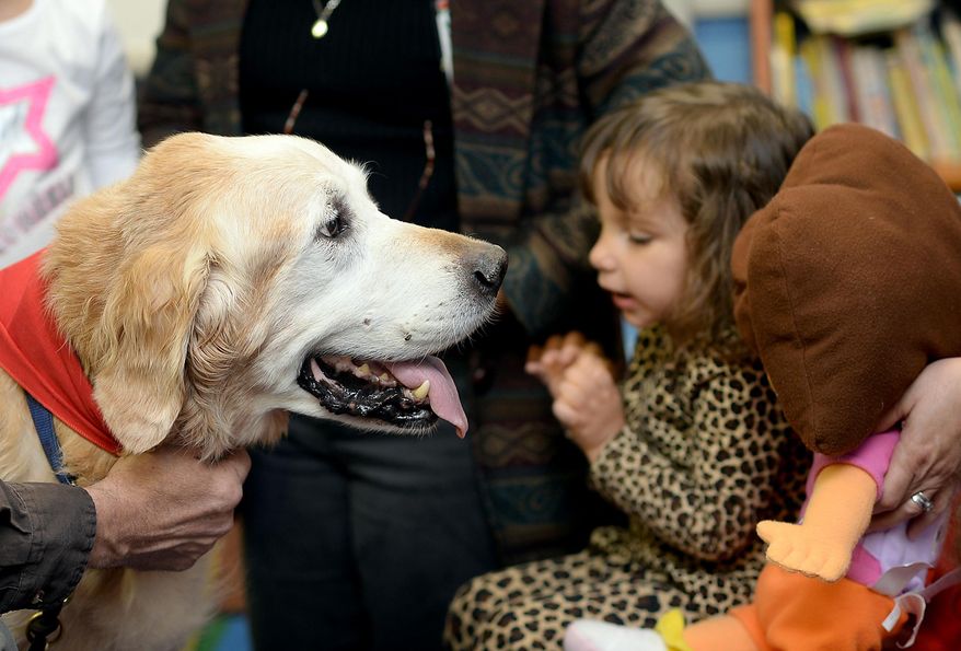 FOR RELEASE MONDAY, FEBRUARY 9, 2015, AT 12:01 A.M. EST.- In this photo taken on Nov. 7, 2014, Harold Randolph and his seeing eye dog Stoney visit the S.C. School for the Deaf and Blind, in Spartanburg, S.C. Randolph's wife Terrie was a braille reading teacher for more than 27 years at the school. Randolph, honors her memory by volunteering at the school by brining his seeing eye dog, Stoney, to help the students practice reading. (AP Photo/Spartanburg Herald-Journal, Alex C. Hicks Jr.)
