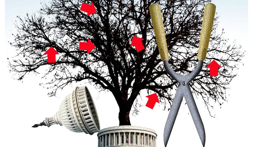 Illustration on cutting government programs by Alexander Hunter/The Washington Times