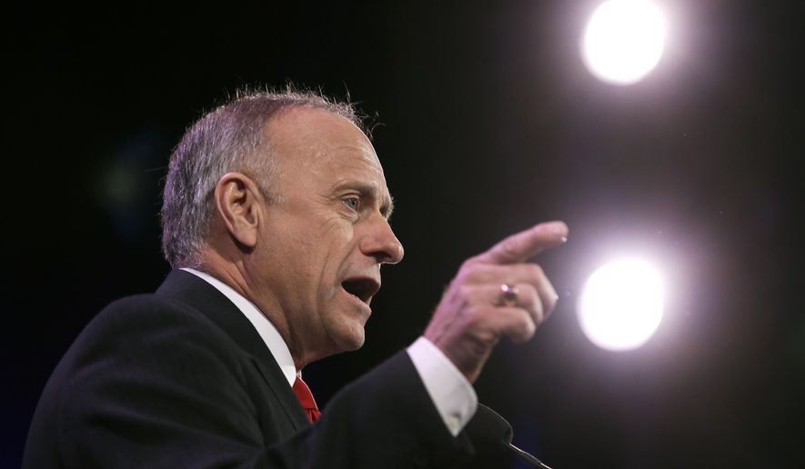 Rep. Steve King, Iowa Republican, proposed hiking taxes on businesses that hire illegal immigrants. (AP Photo/Charlie Neibergall) ** FILE **