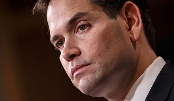 Sen. Marco Rubio is making his voice heard on immigration, student loan debt and foreign policy. (Associated Press)
