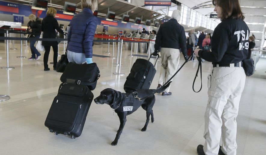 Transportation Security Inspector Cara Ropp and Nestle check out passengers at the Detroit Metropolitan Airport, Thursday, Feb. 19, 2015, in Romulus, Mich. The TSA showed off Nestle who is being used to detect explosives and explosive components at the airport. The passenger screening canines, or PSCs, are being used to identify and locate potential explosive threats at security checkpoints. (AP Photo/Carlos Osorio)