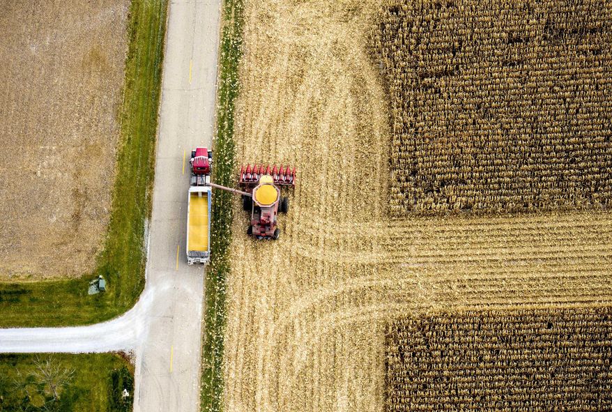 FILE - In this Nov. 11, 2014 file photo, a farmer harvests corn in rural Washington, Ill. The Illinois Farm Bureau says the 2014 fall harvest was an historic crop. The USDA's National Agricultural Statistics Services says Illinois had average yields of more than 200 bushels per acre for corn and 50 bushels per acre for soybeans. That's up from 178 bushels of corn per acre in 2013 and 49 bushels of soybeans per acre. (AP Photo/Journal Star, Fred Zwicky, File)