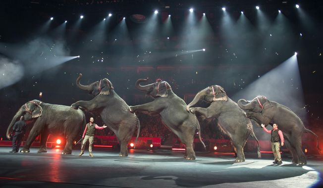 In this Jan. 3, 2015 photo provided by Feld Entertainment Inc., elephants perform at the Ringling Bros. and Barnum &amp;amp; Bailey Circus, at the Amalie Arena in Tampa, Fla. The Ringling Bros. and Barnum &amp;amp; Bailey Circus said it will phase out its iconic elephant acts by 2018. (AP Photo/Feld Entertainment Inc., Gary Bogdon)