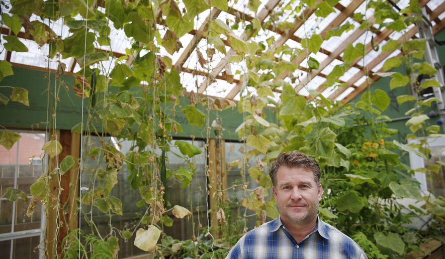 In this Dec. 3, 2014 photo, Daron Babcock stands in a greenhouse containing cucumbers and tilapia in the Bonton neighborhood of Dallas. Babcock oversees the business incubator Good Works Company, which includes Bonton Farm Works. (AP Photo/The Dallas Morning News, Andy Jacobsohn) MANDATORY CREDIT; MAGS OUT; TV OUT; INTERNET USE BY AP MEMBERS ONLY; NO SALES