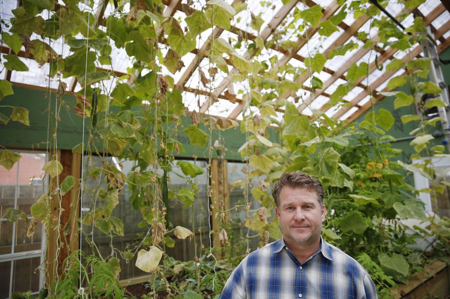 In this Dec. 3, 2014 photo, Daron Babcock stands in a greenhouse containing cucumbers and tilapia in the Bonton neighborhood of Dallas. Babcock oversees the business incubator Good Works Company, which includes Bonton Farm Works. (AP Photo/The Dallas Morning News, Andy Jacobsohn) MANDATORY CREDIT; MAGS OUT; TV OUT; INTERNET USE BY AP MEMBERS ONLY; NO SALES