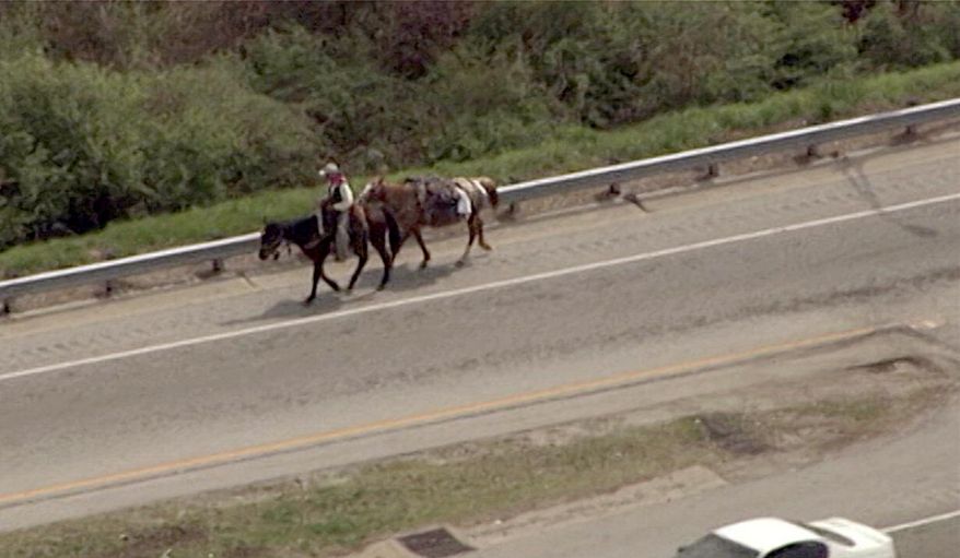 In this frame grab from video provided by WSB-TV Atlanta Tod "Doc" Mishler rides one horse and guides another on the shoulder of a busy downtown freeway while on a cross-country trek Wednesday, March 18, 2015, in Atlanta. WSB-TV reports that a police officer guided the cowboy toward a less-traveled city street. The station reports that Mishler is trying to reach Indiana by June for his sister's birthday. WAGA-TV reports that Mishler is on a mission to fight childhood hunger and hopes to eventually make it to Washington, D.C. (AP Photo/WSB-TV Atlanta) MANDATORY CREDIT