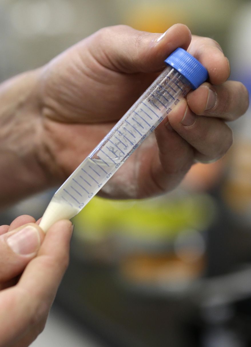 Chris Miller shows a flour solution from a specific strain of wheat at a research facility in the Wheat Innovation Center in Manhattan, Kan., Wednesday, March 11, 2015. Spectrum analysis is made of the solution. (AP Photo/Orlin Wagner)