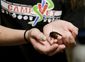 CORRECTION Pets Shelters Summer Camps.JPEG-09a86.jpg