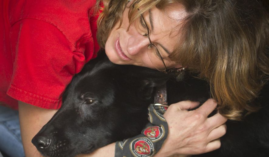 In this photo taken on Friday, March 20, 2015, Kay Hoffman embraces Fenji, a former Marine Corps working dog, at her home in Friendswood, Texas. Hoffman and her husband Bill have become Fenji's caretakers after she was retired from active duty with her handler Corporal Alex Hoffman, Kay and Bill's son. Prior to working alongside Alex in Afghanistan, Fenji was injured in a 2010 IED explosion in Afghanistan that killed her handler Corporal Max Donahue. (AP Photo/The Galveston County Daily News, Stuart Villanueva)