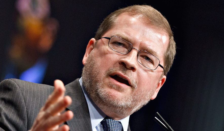 Grover Norquist, president of Americans for Tax Reform, said, &quot;A handful of people are trying to decide to very badly damage or possibly destroy the Trump presidency.&quot; (Associated Press/File)