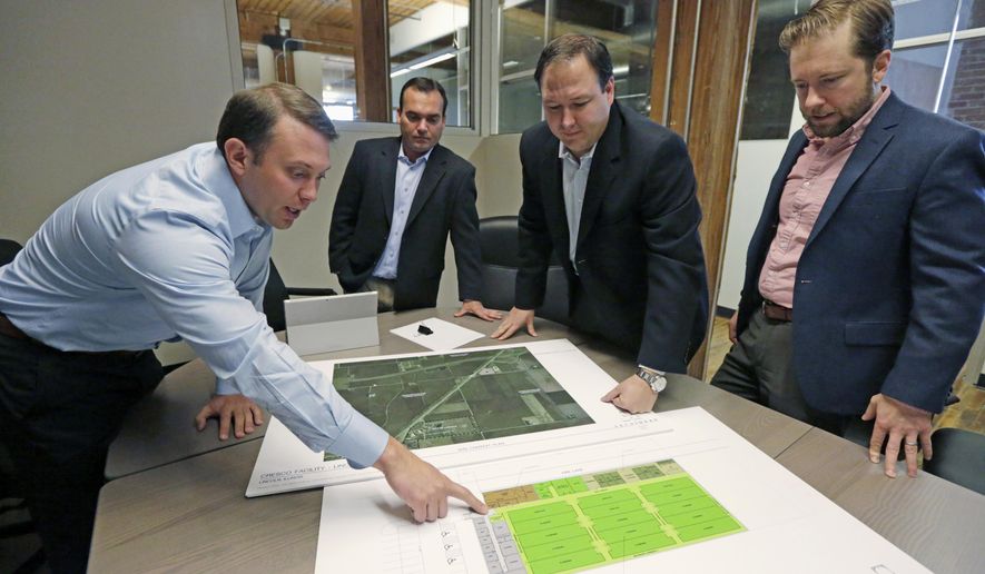 In this March 31, 2015 photo, from left, Dominic Sergi, Rob Sampson, Joe Caltabiano, and Charles Bachtell look over the plans for a Lincoln, Ill., medical marijuana growing facility from the offices of Cresco Labs, a medical marijuana cultivations company based in Chicago. Cresco Labs is poised to become the state’s largest marijuana grower. It won three cultivation permits, more than any other company. (AP Photo/M. Spencer Green)