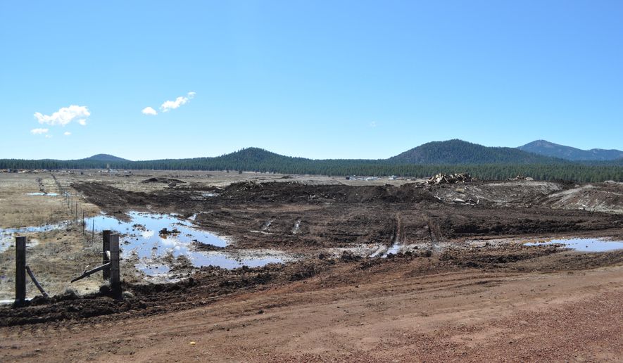 This March 20, 2015 photo shows a vacant 37-acre parcel leased by Four Forest Restoration Initiative contractor Good Earth Power AZ in Williams, Ariz. The company had projected lumber mill equipment would be up and operating on the site by the end of March. (AP Photo/Arizona Daily Sun, Emery Cowan)