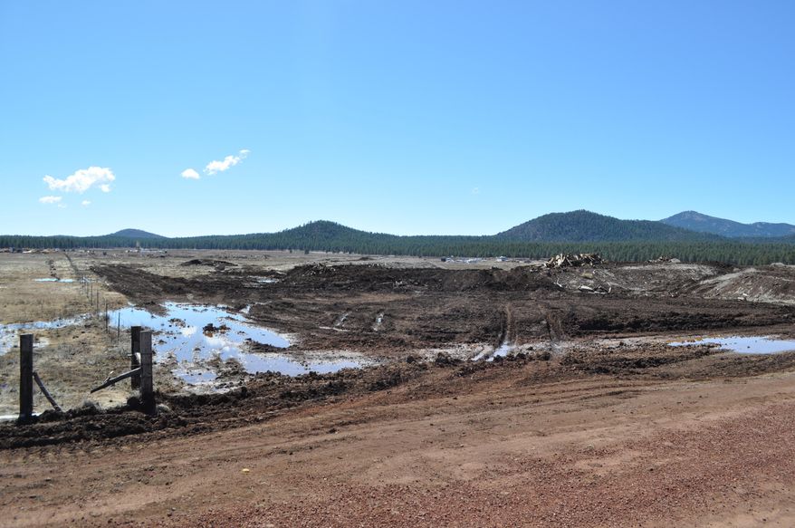 This March 20, 2015 photo shows a vacant 37-acre parcel leased by Four Forest Restoration Initiative contractor Good Earth Power AZ in Williams, Ariz. The company had projected lumber mill equipment would be up and operating on the site by the end of March. (AP Photo/Arizona Daily Sun, Emery Cowan)