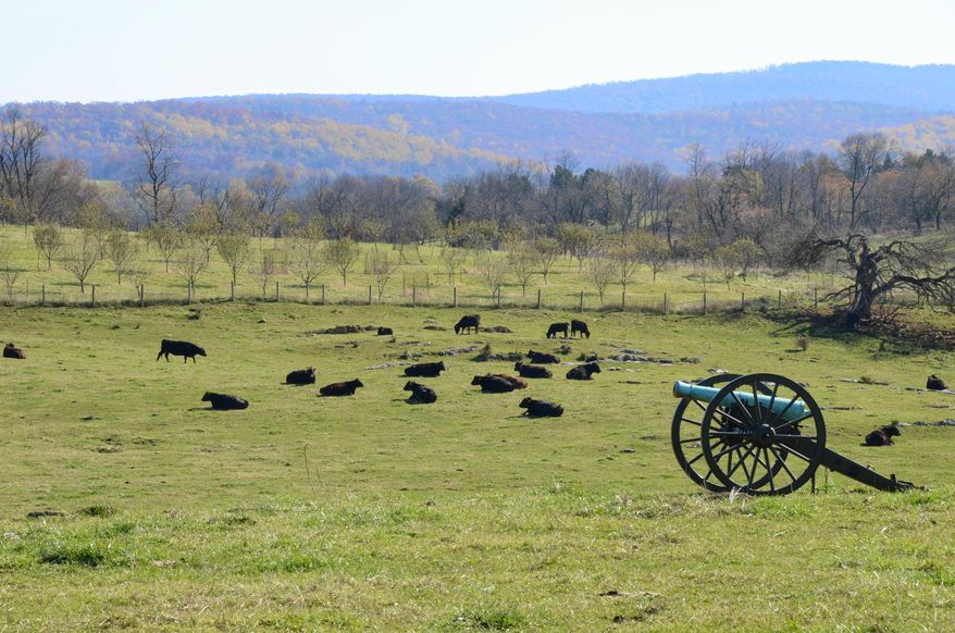 In this Nov. 6, 2011, photo, cattle graze on a field at Antietam National Battlefield in Sharpsburg, Md., in a serene setting once wracked by violence in the bloodiest one-day battle on U.S. soil. A bucolic escape in all seasons, a little more than an hour from Washington, the Civil War site does not feel crowded even when the visitor center parking lot is full. (AP Photo/Cal Woodward)
