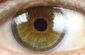 Eye Scanner.jpg