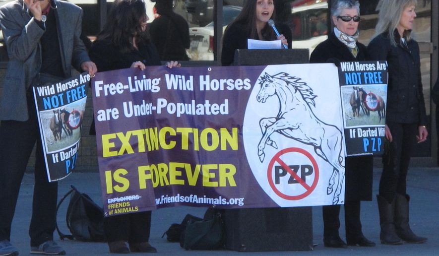 In a Feb. 26, 2015 photo, Edita Birnkrant, campaigns director of the New York-based Friends of Animals, speaks at a rally in Sparks, Nev., protesting plans to roundup hundreds of wild horses in Nevada and inject dozens of the mares with PZP, a drug that prevents them from reproducing for two years. Her group and the San Francisco-based Protect Mustangs are lashing out against other horse advocates who support the use of the drug, including the American Wild Horse Protection Campaign and the Humane Society of the United States. (AP Photo/Scott Sonner).
