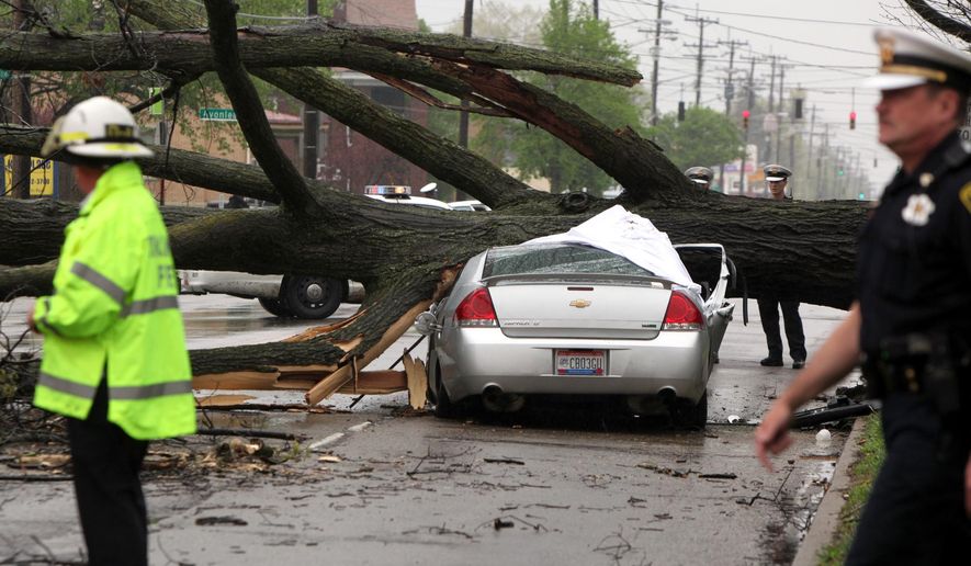 Police investigate after a car was crushed by a tree killing the driver Sunday, April 19, 2015 in Cincinnati. (Cameron Knight/The Cincinnati Enquirer via AP) MANDATORY CREDIT; NO SALES