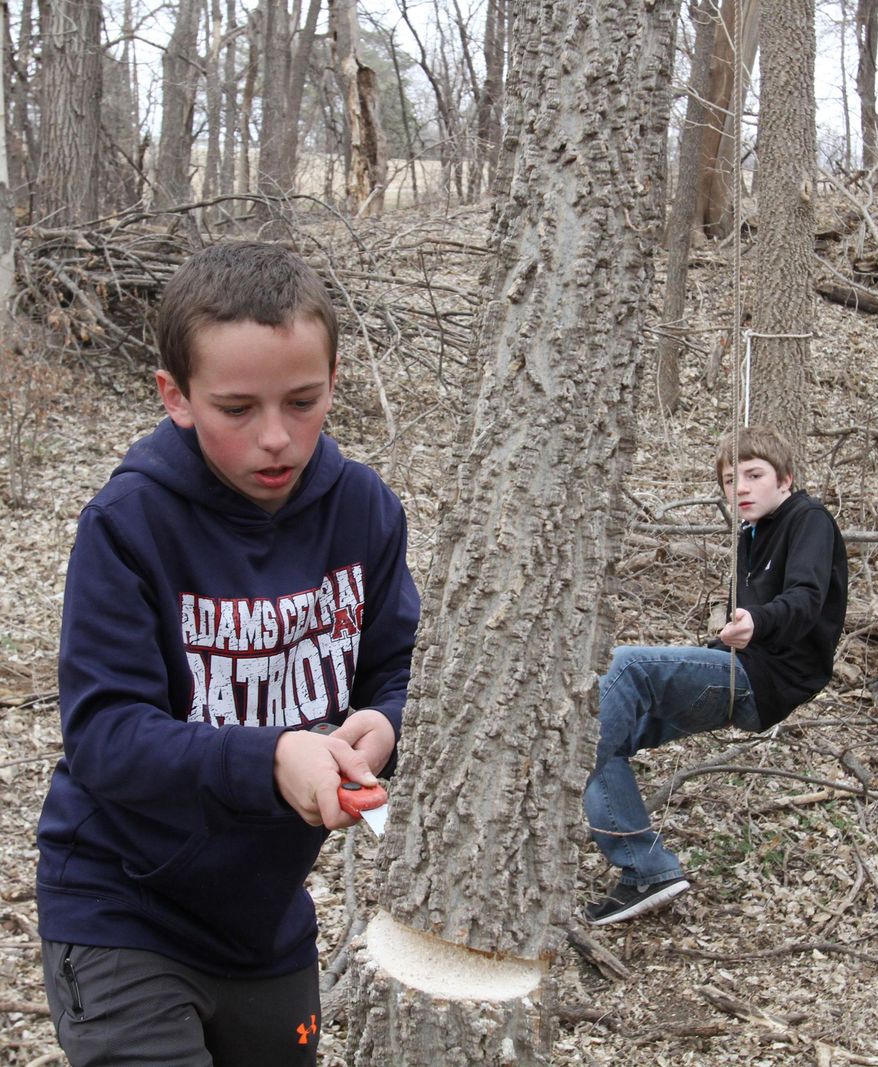 Jordan Peak saws a tree as Evan Adler puts his weight on a rope to bring the tree down while they work on the construction of a log cabin Monday, March 23 in Juniata, Neb. Fueled by ideas from watching people build things on the Discovery Channel, the boys wanted to make something larger, so they set forth to build a log cabin. (Amy Roh/The Hastings Tribune via AP)