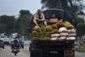Cuba Daily Life.JPEG-0d733.jpg