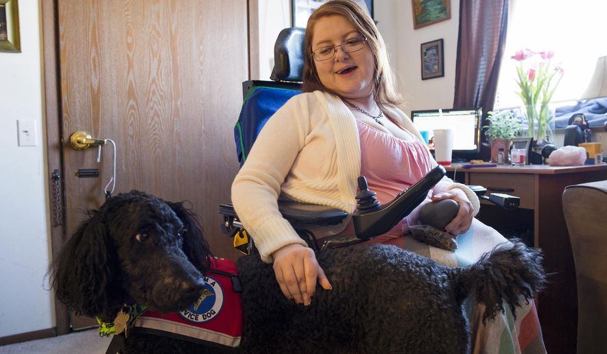 In this Feb. 27, 2015 photo, Julianne Smith sits with her service dog, Lincoln, at her home in Peoria, Ill. Smith, 34, diagnosed with Type 2 spinal muscular atrophy that limits the muscle mobility, has minor weakness in small muscles like her hands and toes but major weakness in large muscles. Lincoln and Smith were brought together through Paws Giving Independence, a local organization that acquires dogs — many of them rescues — and trains them as service dogs to assist people with a variety of disabilities. (Austin Humphreys/Journal Star via AP)