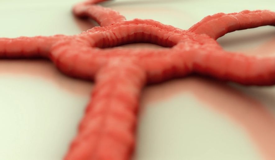 Courtesy of bistro-invitro.com