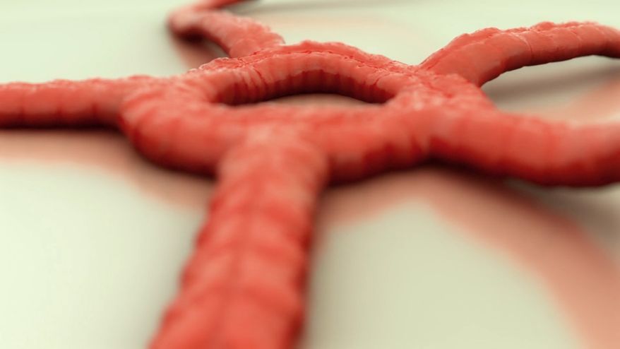 Courtesy of bistro-invitro.com