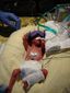 Preemie Baby Survival.JPEG-0be96.jpg