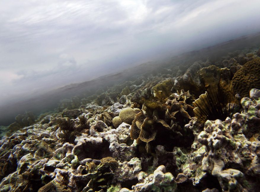 FILE - This March 2009 file photo, shows coral underwater where a thin line of clear Caribbean ocean separates it from the clouds near the second largest barrier reef that runs along the coast of Belize. Belize is considering new offshore drilling regulations that could open up nearly the entire coast to exploration and exploitation, environmental groups have warned, calling it a threat to vital reefs, fisheries and tourism concerns. Belize currently has a moratorium on offshore drilling. "They've declared open-season on almost 99 percent of Belize's marine area," Janelle Chanona, Oceana's vice president for the Central American nation, said on Thursday, May 7, 2015 from the capital, Belmopan. (AP Photo/Pat Wellenbach, File)