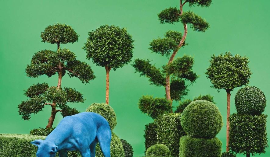 This CD cover image released by Columbia Records shows "Bush," the latest released by Snoop Dogg. (Columbia Records via AP)