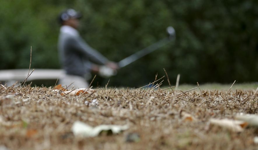 In this April 25, 2015, file photo, a golfer watches his tee shot near dry vegetation in an area beyond the boundaries at the El Niguel Country Club in Laguna Niguel, Calif. (AP Photo/Gregory Bull)