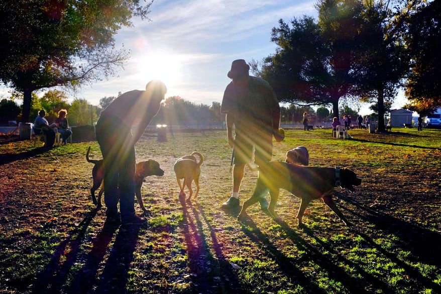 FILE - In this Sunday Dec. 1, 2013 file photo, visitors and their dogs enjoy a sunny afternoon at the Sepulveda Basin Dog Park in the Encino section of Los Angeles. Millions of children, seniors and postal carriers were bitten by dogs across the country in 2014. California led the way in insurance claims filed, settlements paid and postal carriers bitten. (AP Photo/Richard Vogel, file)
