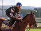Preakness Stakes Horse Racing.JPEG-02eb2.jpg