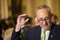 Schumer.jpg