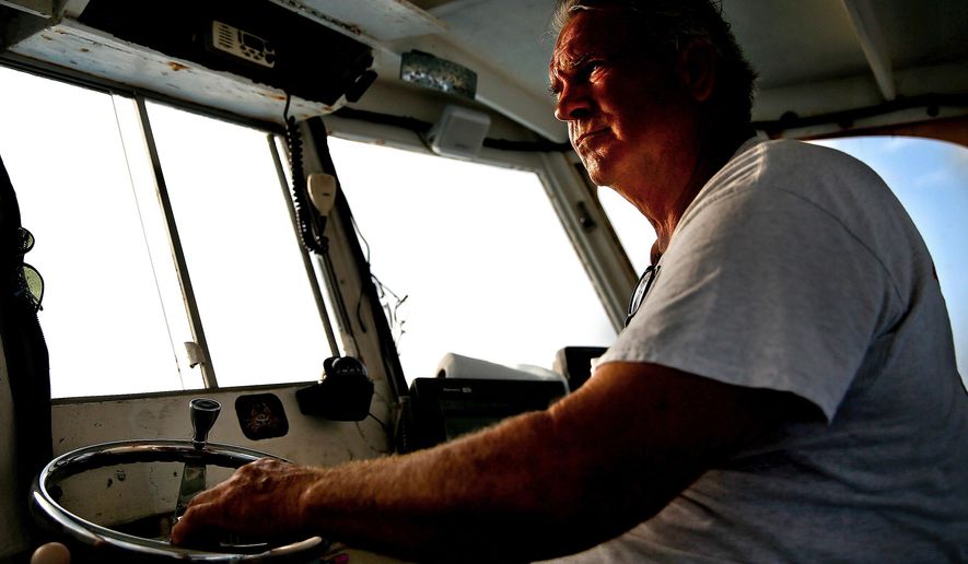 ADVANCE FOR WEEKEND EDITIONS, MAY 23-25 - In this photo taken April 21, 2015, as the sun rises over the Gulf of Mexico near Goodland, Fla. Damas Kirk pilots his stone crab boat toward his traps to see what he has caught. Originally from Goodland, Fla., Kirk grew up on the water fishing and eventually took over the family business, Kirk Fish Company, a fishery and retail market in Goodland where he still works alongside his wife, Patty, and their daughter, Kelly. (Scott McIntyre/Naples Daily News via AP) FORT MYERS OUT
