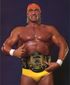 2956685-hulk+hogan.jpg