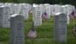 Arlington Flags In.JPEG-03c5d.jpg