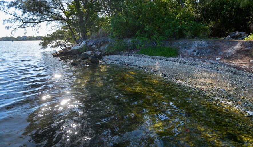 This May 7, 2015 photo shows the shoreline of Skiers Island in Roberts Bay in Sarasota, Fla. Environmental groups have proposed restoring a string of islands including Skiers Island in an effort to boost eco-tourism. (Dan Wagner/Sarasota Herald-Tribune via AP) PORT CHARLOTTE OUT; BRADENTON HERALD OUT; TV OUT; ONLINE OUT